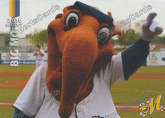 Big Mo Montgomery Biscuits Mascot, Ginger