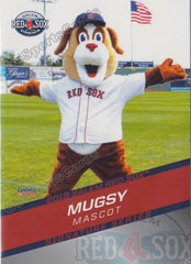 2015 Salem Red Sox Mugsy Mascot