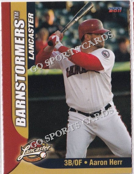 2011 Lancaster Barnstormers Perforated Aaron Herr