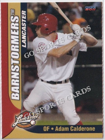 2011 Lancaster Barnstormers Perforated Adam Calderone