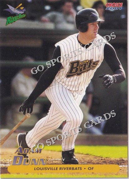 2001 Louisville Riverbats Adam Dunn