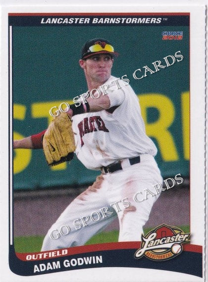 2012 Lancaster Barnstormers Perforated Adam Godwin