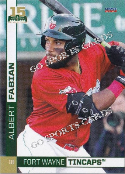 2024 Fort Wayne TinCaps Albert Fabian