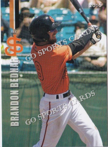 2016 San Jose Giants Brandon Bednar