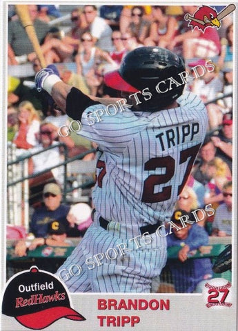 2014 Fargo Moorhead RedHawks Brandon Tripp