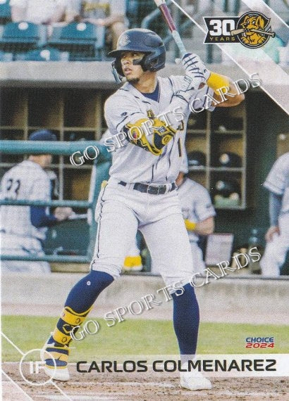 2024 Charleston RiverDogs Carlos Colmenarez