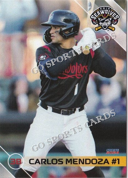 2024 Erie SeaWolves Carlos Mendoza