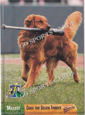 2003 Trenton Thunder Chase Dog