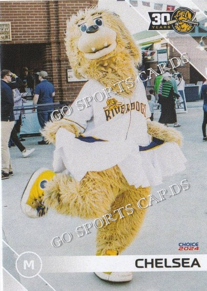 2024 Charleston RiverDogs Chelsea Mascot