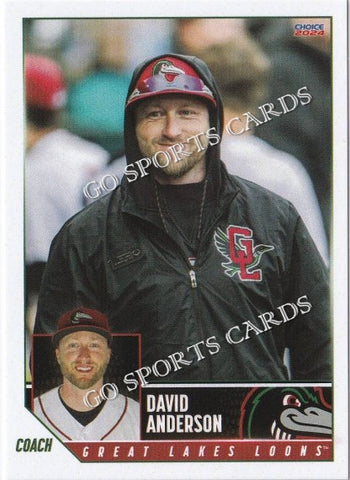 2024 Great Lakes Loons David Anderson