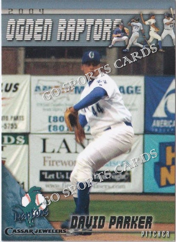 2004 Ogden Raptors David Parker