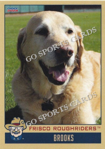 2024 Frisco RoughRiders Brooks Dog