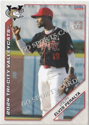 2024 Tri City ValleyCats Elvis Peralta