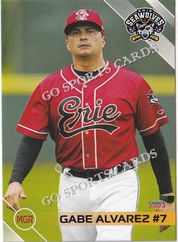 2024 Erie SeaWolves Gabe Alvarez