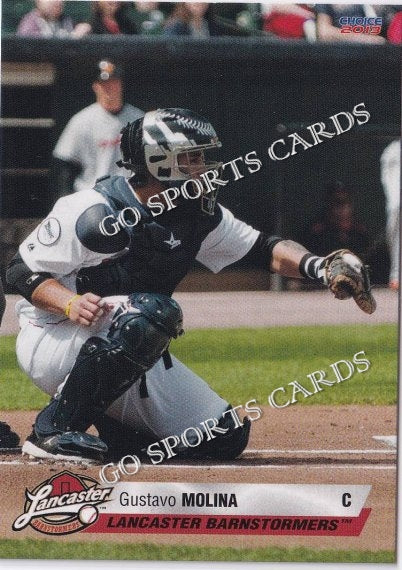 2013 Lancaster Barnstormers Gustavo Molina