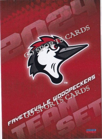 2024 Fayetteville Woodpeckers Header Checklist