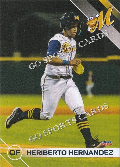 2024 Montgomery Biscuits Heriberto Hernandez