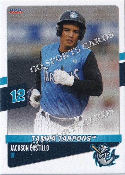 2024 Tampa Tarpons Jackson Castillo