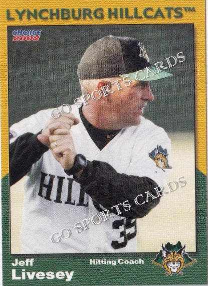 2002 Lynchburg Hillcats Jeff Livesey