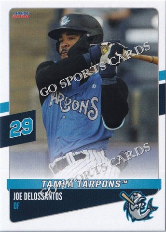 2024 Tampa Tarpons Joe Delossantos