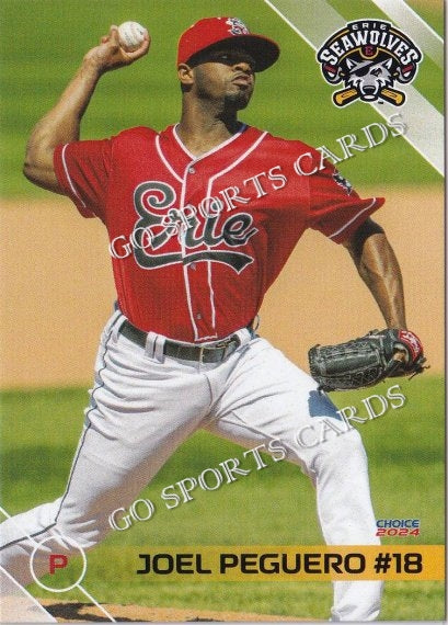 2024 Erie SeaWolves Joel Peguero