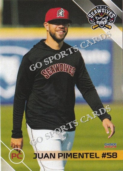 2024 Erie SeaWolves Juan Pimentel