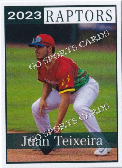 2023 Ogden Raptors Juan Teixeira