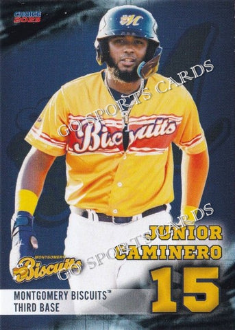 2023 Montgomery Biscuits Junior Caminero