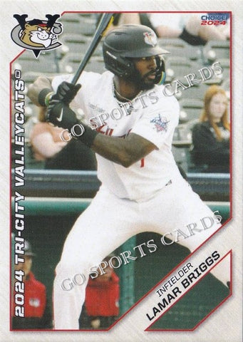 2024 Tri City ValleyCats Lamar Briggs