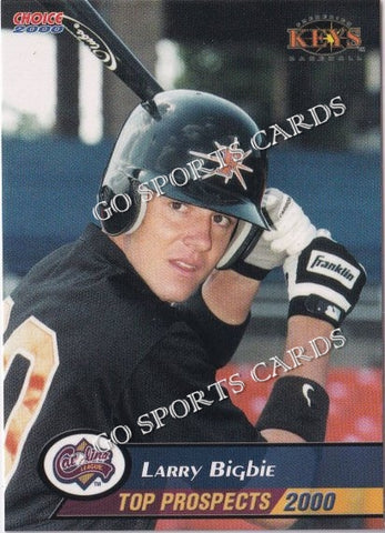 2000 Carolina League Top Prospects Larry Bigbie