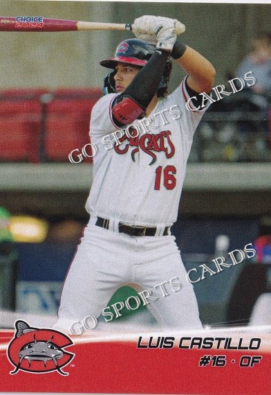 2024 Carolina MudCats Luis Castillo