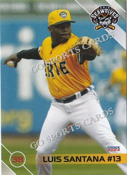 2024 Erie SeaWolves Luis Santana