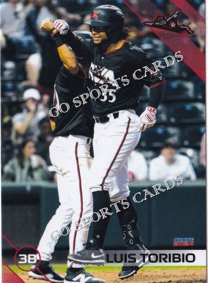 2024 Richmond Flying Squirrels Luis Toribio