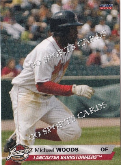 2008 Lancaster Barnstormers Michael Woods