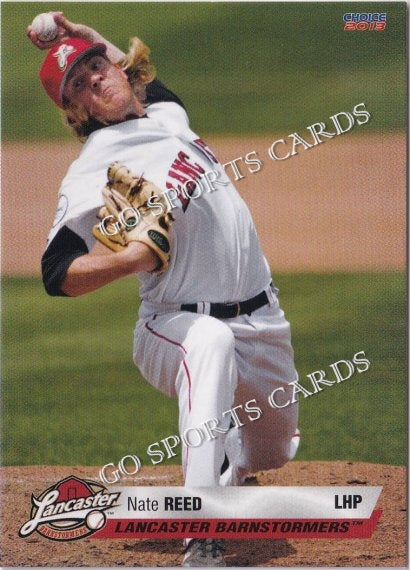 2013 Lancaster Barnstormers Nate Reed