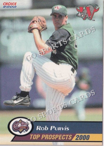 2000 Carolina League Top Prospects Rob Purvis