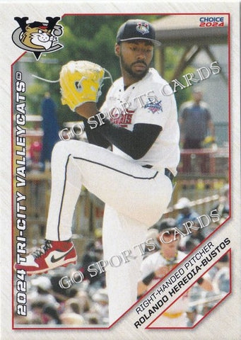 2024 Tri City ValleyCats Rolando Heredia Bustos