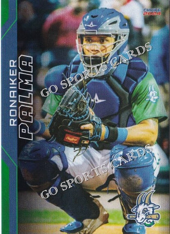 2024 Hartford Yard Goats Ronaiker Palma