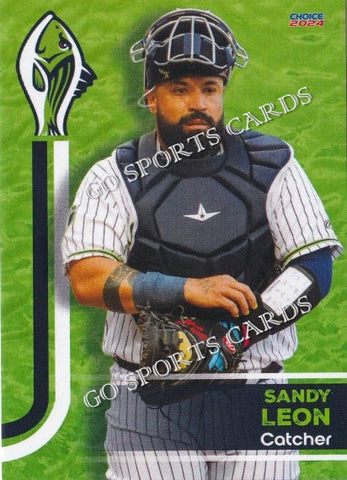 2024 Gwinnett Stripers Sandy Leon