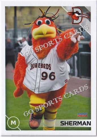 2024 Delmarva Shorebirds Sherman Mascot