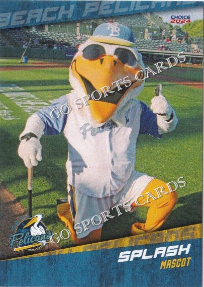 2024 Myrtle Beach Pelicans Splash Mascot