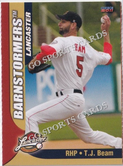 2011 Lancaster Barnstormers Perforated TJ Beam