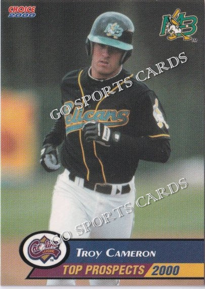 2000 Carolina League Top Prospects Troy Cameron