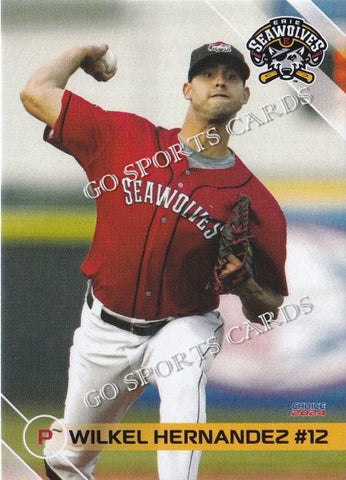 2024 Erie SeaWolves Wilkel Hernandez