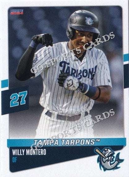 2024 Tampa Tarpons Willy Montero