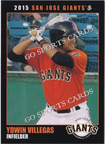 2015 San Jose Giants Ydwin Villegas