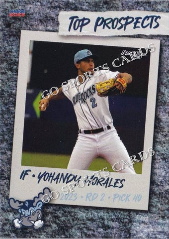 2023 Wilmington Blue Rocks Top Prospects Yohandy Morales