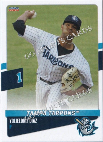 2024 Tampa Tarpons Yoljeldriz Diaz