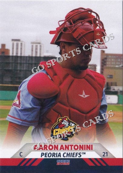 2022 Peoria Chiefs Aaron Antonini