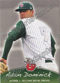 2011 Fort Wayne TinCaps Adam Dominick